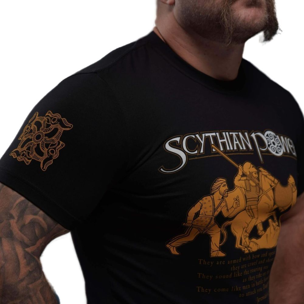 Футболка SCYTHIAN POWER 7959318 фото