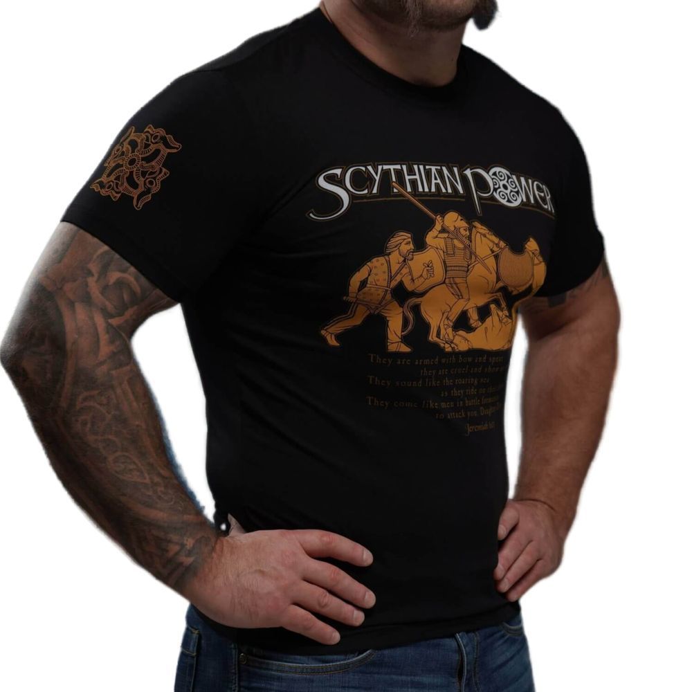 Футболка SCYTHIAN POWER 7959318 фото